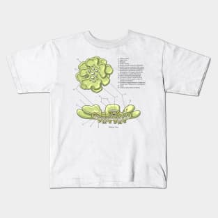 Lichen Structure Diagram Kids T-Shirt